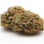 Шишки AK47 (Гидропоника, Бошка) VHQ в Североуральске Шишки AK47 (Гидропоника, Бошка) VHQ в Североуральске